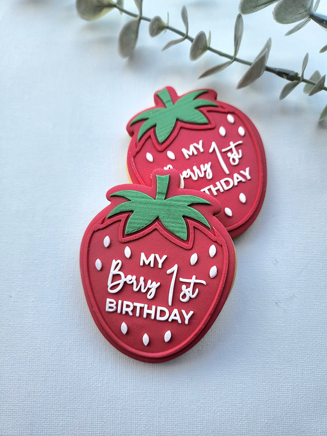 Berry 1st Birthday