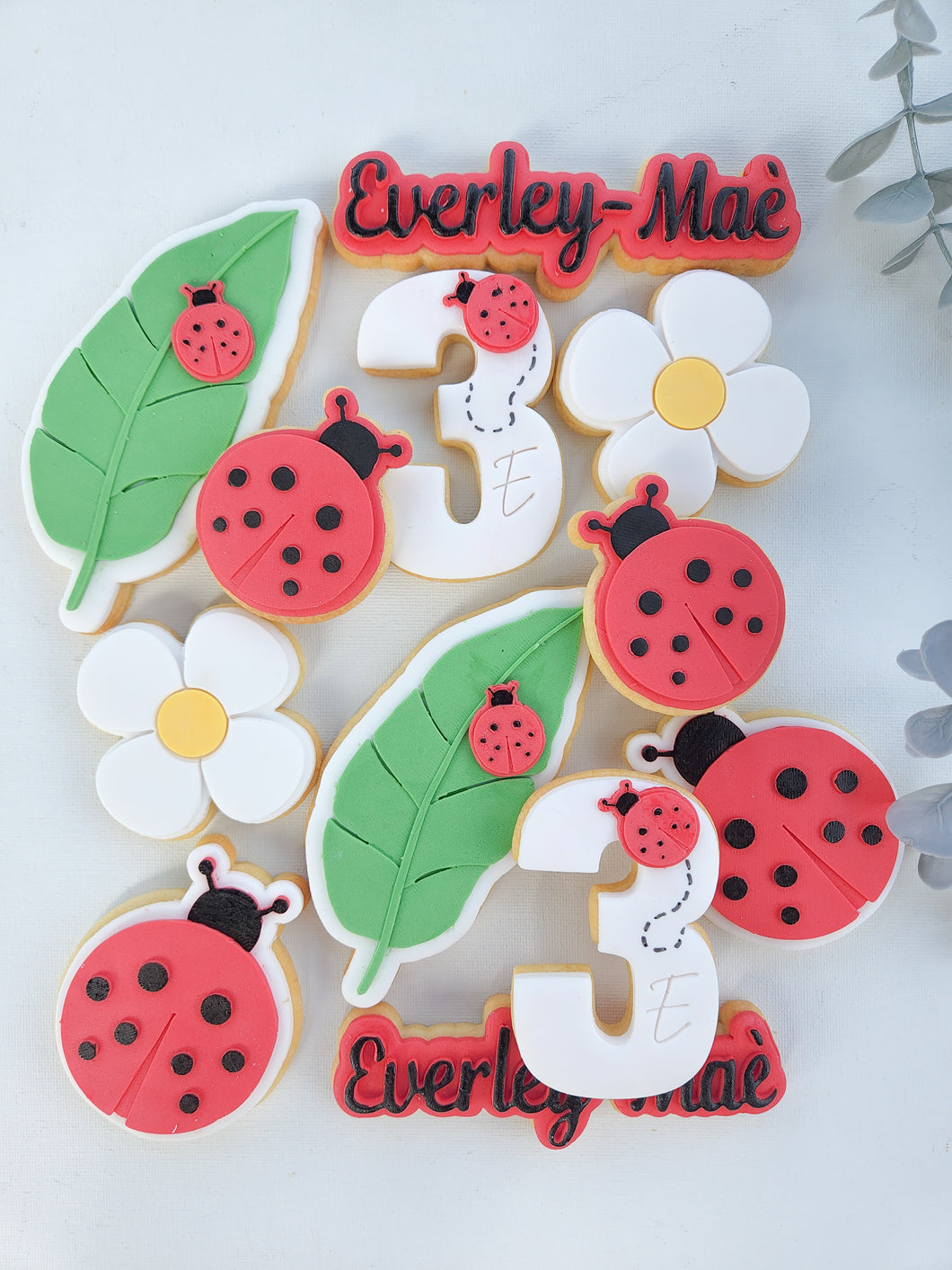 Ladybug Set