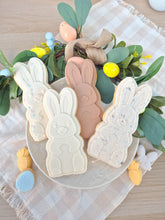 Load image into Gallery viewer, Big Bunny
